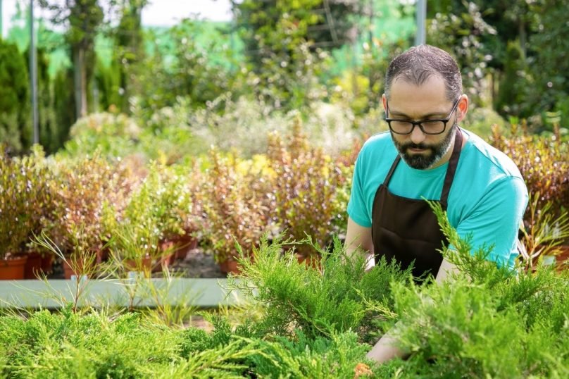 Screenshot_30-12-2025_113431_www.freepik.com